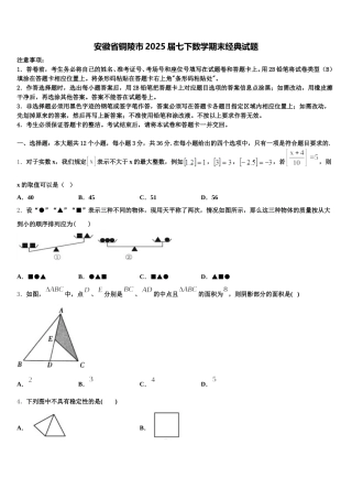 安徽省铜陵市2025届七下数学期末经典试题含解析