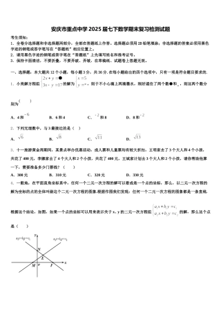 安庆市重点中学2025届七下数学期末复习检测试题含解析