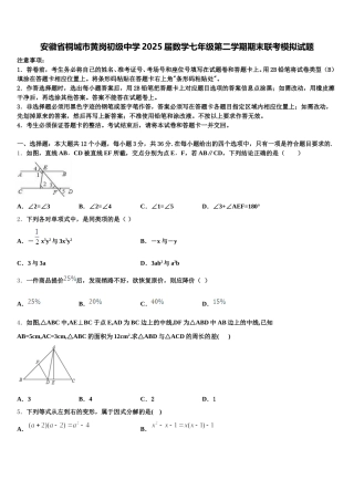安徽省桐城市黄岗初级中学2025届数学七年级第二学期期末联考模拟试题含解析