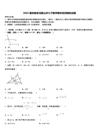 2025届安徽省马鞍山市七下数学期末检测模拟试题含解析