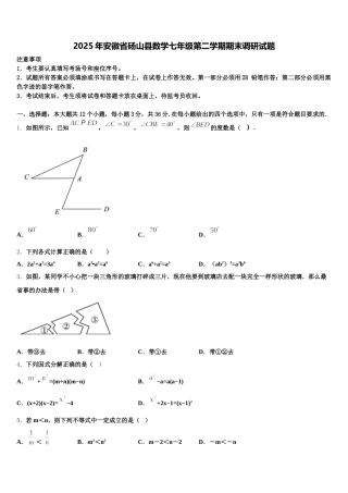 2025年安徽省砀山县数学七年级第二学期期末调研试题含解析