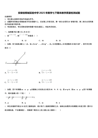 安徽省桐城实验中学2025年数学七下期末教学质量检测试题含解析