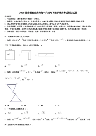 2025届安徽省安庆市九一六校七下数学期末考试模拟试题含解析