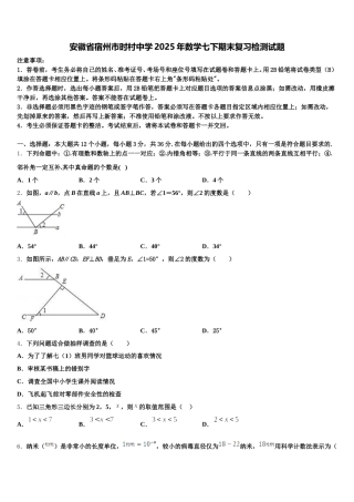 安徽省宿州市时村中学2025年数学七下期末复习检测试题含解析