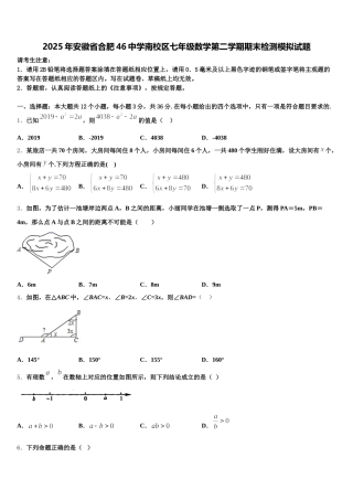 2025年安徽省合肥46中学南校区七年级数学第二学期期末检测模拟试题含解析