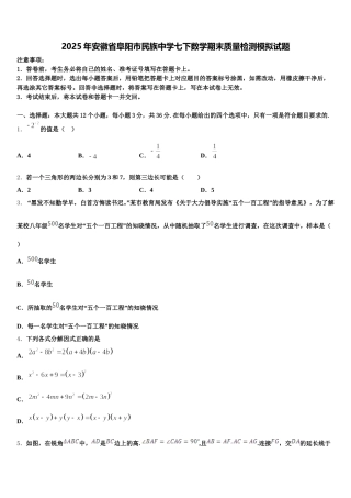 2025年安徽省阜阳市民族中学七下数学期末质量检测模拟试题含解析