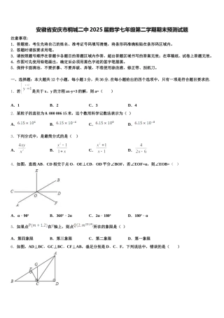 安徽省安庆市桐城二中2025届数学七年级第二学期期末预测试题含解析