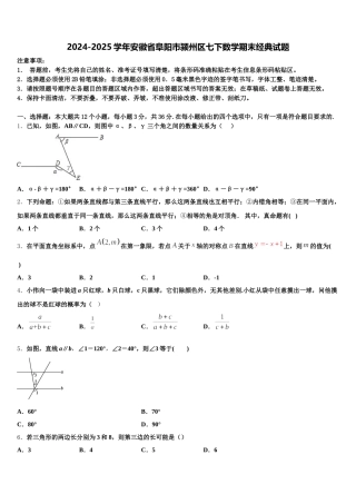 2024-2025学年安徽省阜阳市颍州区七下数学期末经典试题含解析