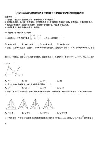 2025年安徽省合肥市四十二中学七下数学期末达标检测模拟试题含解析