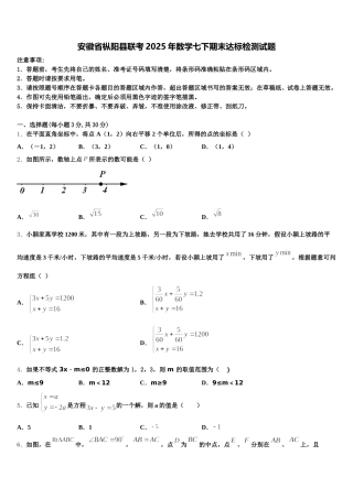 安徽省枞阳县联考2025年数学七下期末达标检测试题含解析