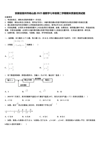 安徽省宿州市砀山县2025届数学七年级第二学期期末质量检测试题含解析