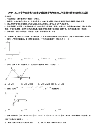 2024-2025学年安徽省六安市舒城县数学七年级第二学期期末达标检测模拟试题含解析