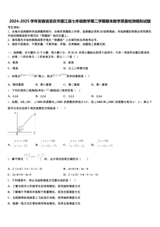 2024-2025学年安徽省安庆市望江县七年级数学第二学期期末教学质量检测模拟试题含解析