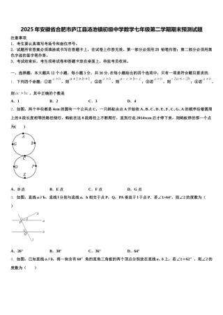 2025年安徽省合肥市庐江县汤池镇初级中学数学七年级第二学期期末预测试题含解析