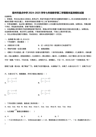 宿州市重点中学2024-2025学年七年级数学第二学期期末监测模拟试题含解析