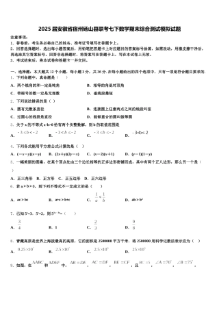 2025届安徽省宿州砀山县联考七下数学期末综合测试模拟试题含解析