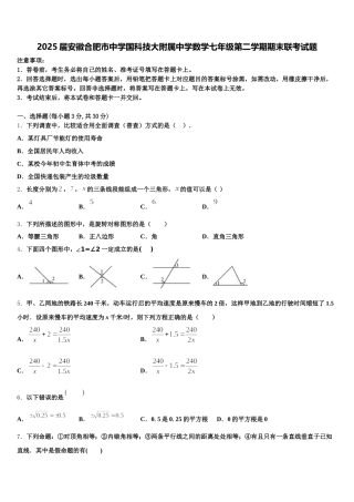 2025届安徽合肥市中学国科技大附属中学数学七年级第二学期期末联考试题含解析
