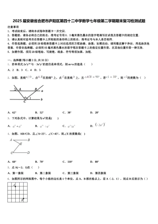 2025届安徽省合肥市庐阳区第四十二中学数学七年级第二学期期末复习检测试题含解析