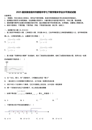 2025届安徽省宿州市鹏程中学七下数学期末学业水平测试试题含解析