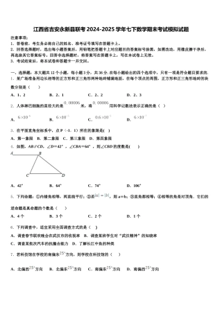 江西省吉安永新县联考2024-2025学年七下数学期末考试模拟试题含解析