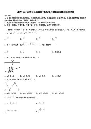 2025年江西省永新县数学七年级第二学期期末监测模拟试题含解析