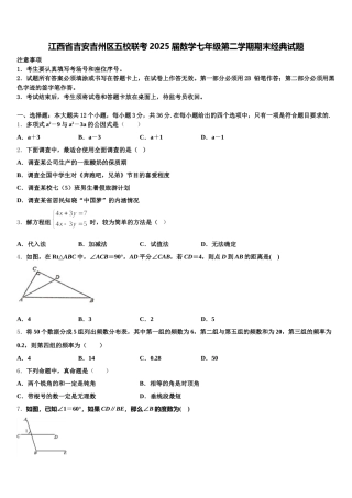 江西省吉安吉州区五校联考2025届数学七年级第二学期期末经典试题含解析