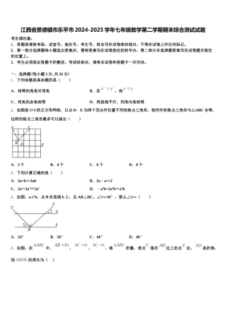 江西省景德镇市乐平市2024-2025学年七年级数学第二学期期末综合测试试题含解析