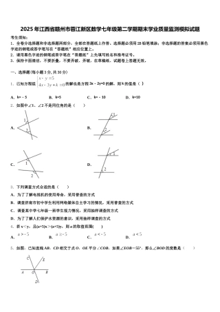 2025年江西省赣州市蓉江新区数学七年级第二学期期末学业质量监测模拟试题含解析