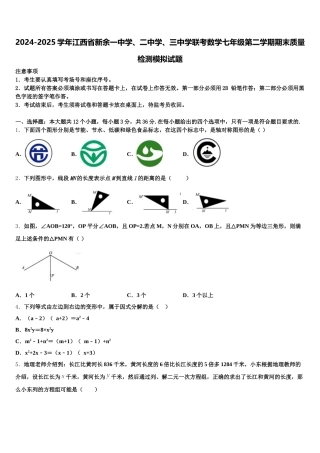 2024-2025学年江西省新余一中学、二中学、三中学联考数学七年级第二学期期末质量检测模拟试题含解析