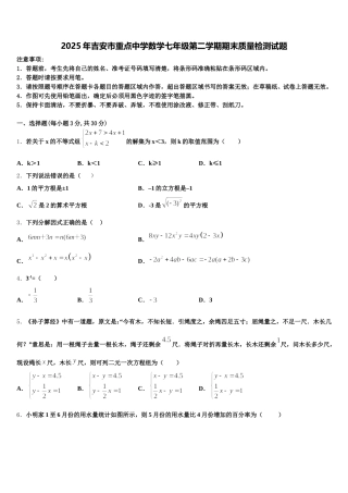 2025年吉安市重点中学数学七年级第二学期期末质量检测试题含解析