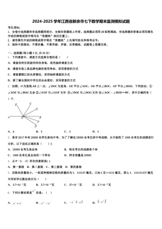 2024-2025学年江西省新余市七下数学期末监测模拟试题含解析