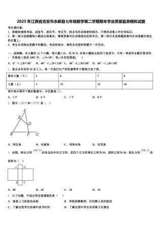 2025年江西省吉安市永新县七年级数学第二学期期末学业质量监测模拟试题含解析