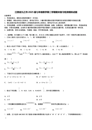 江西省九江市2025届七年级数学第二学期期末复习检测模拟试题含解析