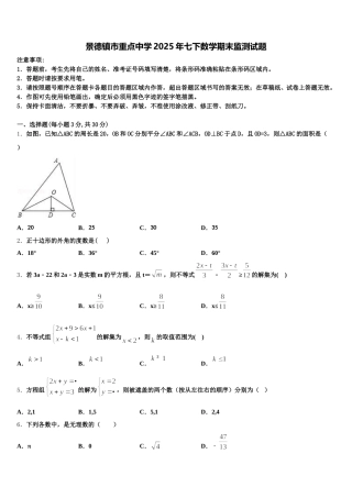 景德镇市重点中学2025年七下数学期末监测试题含解析