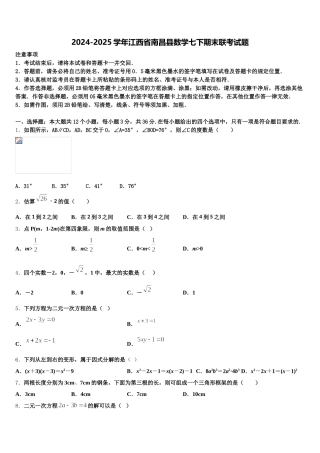 2024-2025学年江西省南昌县数学七下期末联考试题含解析