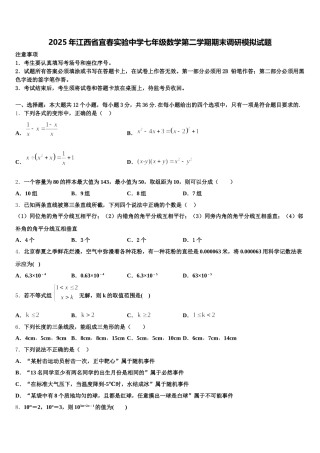 2025年江西省宜春实验中学七年级数学第二学期期末调研模拟试题含解析