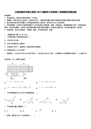 江西省赣州市蓉江新区2025届数学七年级第二学期期末经典试题含解析