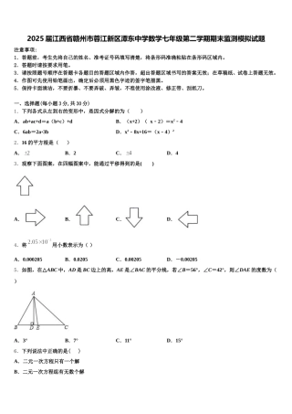2025届江西省赣州市蓉江新区潭东中学数学七年级第二学期期末监测模拟试题含解析
