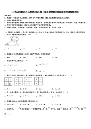 江西省南昌市心远中学2025届七年级数学第二学期期末考试模拟试题含解析