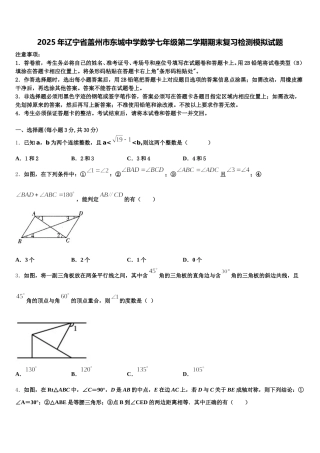 2025年辽宁省盖州市东城中学数学七年级第二学期期末复习检测模拟试题含解析