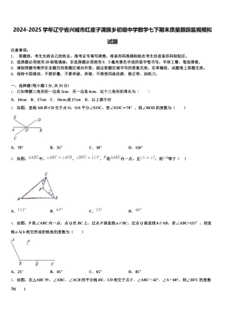 2024-2025学年辽宁省兴城市红崖子满族乡初级中学数学七下期末质量跟踪监视模拟试题含解析