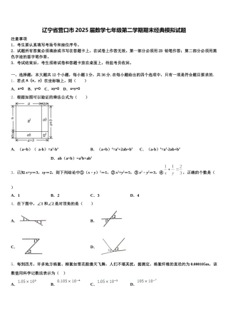 辽宁省营口市2025届数学七年级第二学期期末经典模拟试题含解析