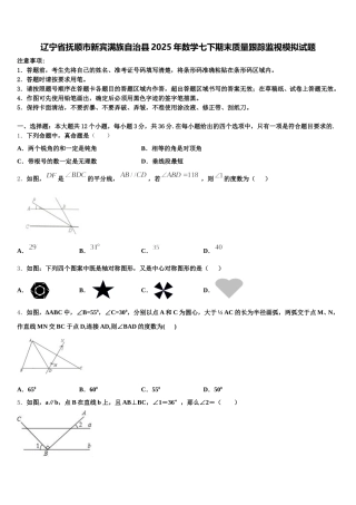 辽宁省抚顺市新宾满族自治县2025年数学七下期末质量跟踪监视模拟试题含解析