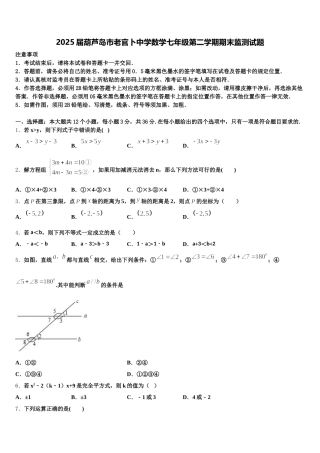 2025届葫芦岛市老官卜中学数学七年级第二学期期末监测试题含解析