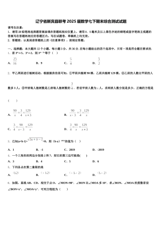 辽宁省新宾县联考2025届数学七下期末综合测试试题含解析