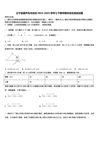辽宁省葫芦岛市名校2024-2025学年七下数学期末综合测试试题含解析