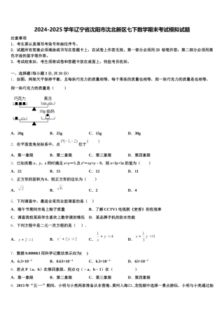 2024-2025学年辽宁省沈阳市沈北新区七下数学期末考试模拟试题含解析