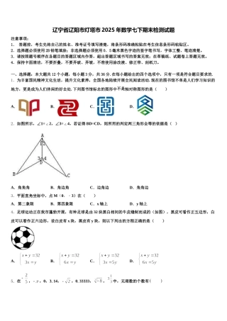 辽宁省辽阳市灯塔市2025年数学七下期末检测试题含解析