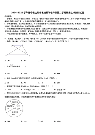 2024-2025学年辽宁省沈阳市名校数学七年级第二学期期末达标测试试题含解析