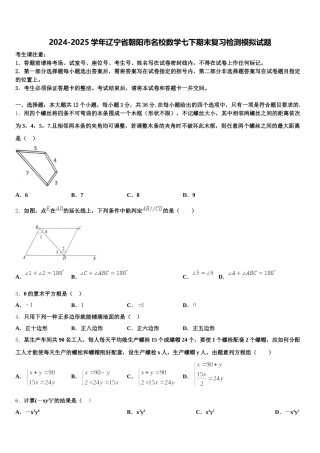 2024-2025学年辽宁省朝阳市名校数学七下期末复习检测模拟试题含解析